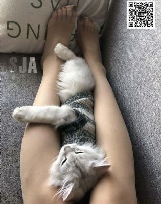 全职法师第七季_剧情片日韩免费观看