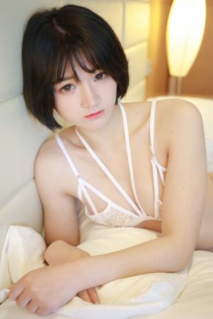 一路向北在线免费观看完整版_BD国语免费观看